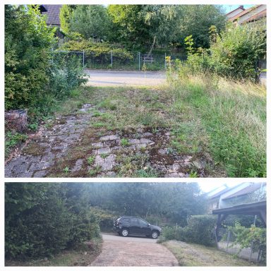 Unkraut und hohe Gräser auf einem unbefestigten Weg, links ein Auto auf einer Einfahrt.