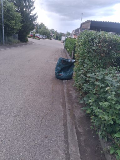 Abgelegter grüner Sack neben der Straße, umgeben von Büschen.