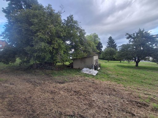 Ein kleiner Schuppen unter einem Baum auf einer Wiese mit fruchttragenden Bäumen.