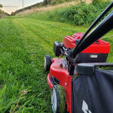 Rasenmäher auf einem frisch gemähten Grasfeld mit grüner Umgebung.