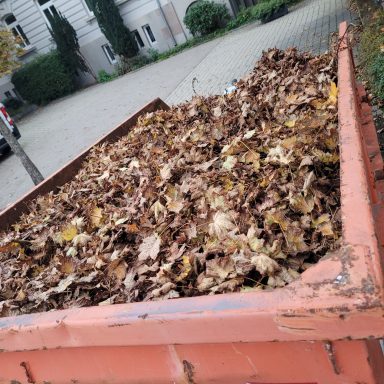 Roter Container bis zur Oberkante mit trockenem Laub gefüllt.