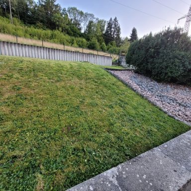 Grüner Rasen mit Kiesfläche und Sträuchern im Hintergrund.