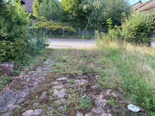 Ungepflegter Weg mit unkrautbewachsenem Pflaster, umgeben von Bäumen und Büschen.