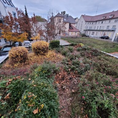 Bunte Pflanzen und Büschen in einem Innenhof mit grauem Himmel im Hintergrund.