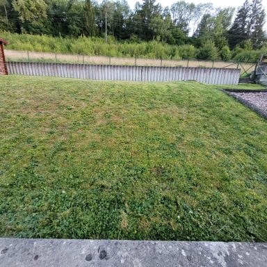 Grüner Rasen mit Bäumen im Hintergrund und einem eingezäunten Bereich.